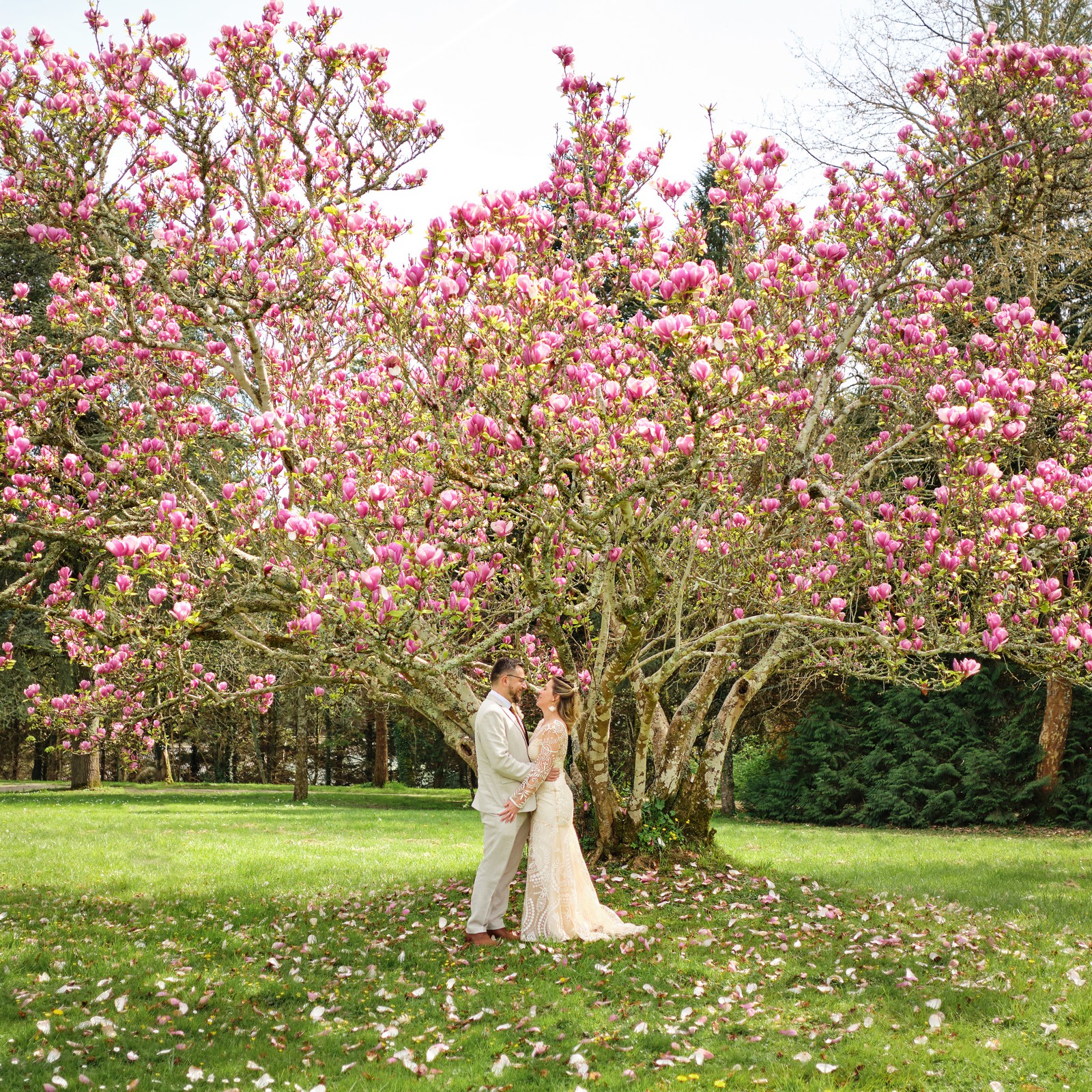 couple mariés sous un magnolia