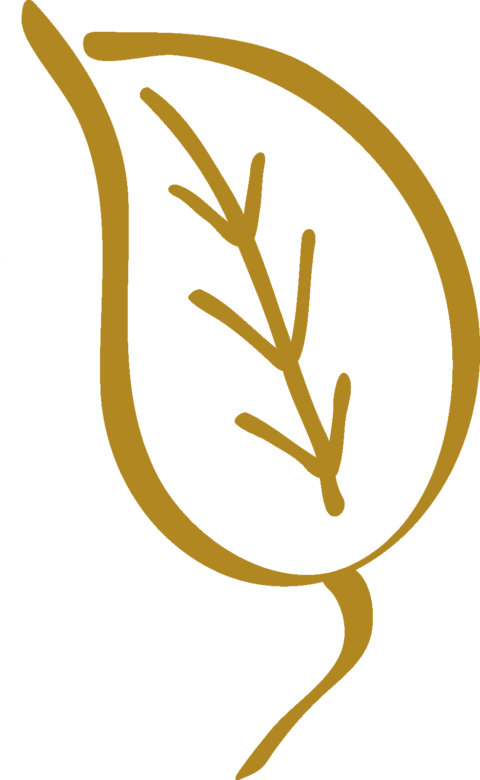 feuille dorée