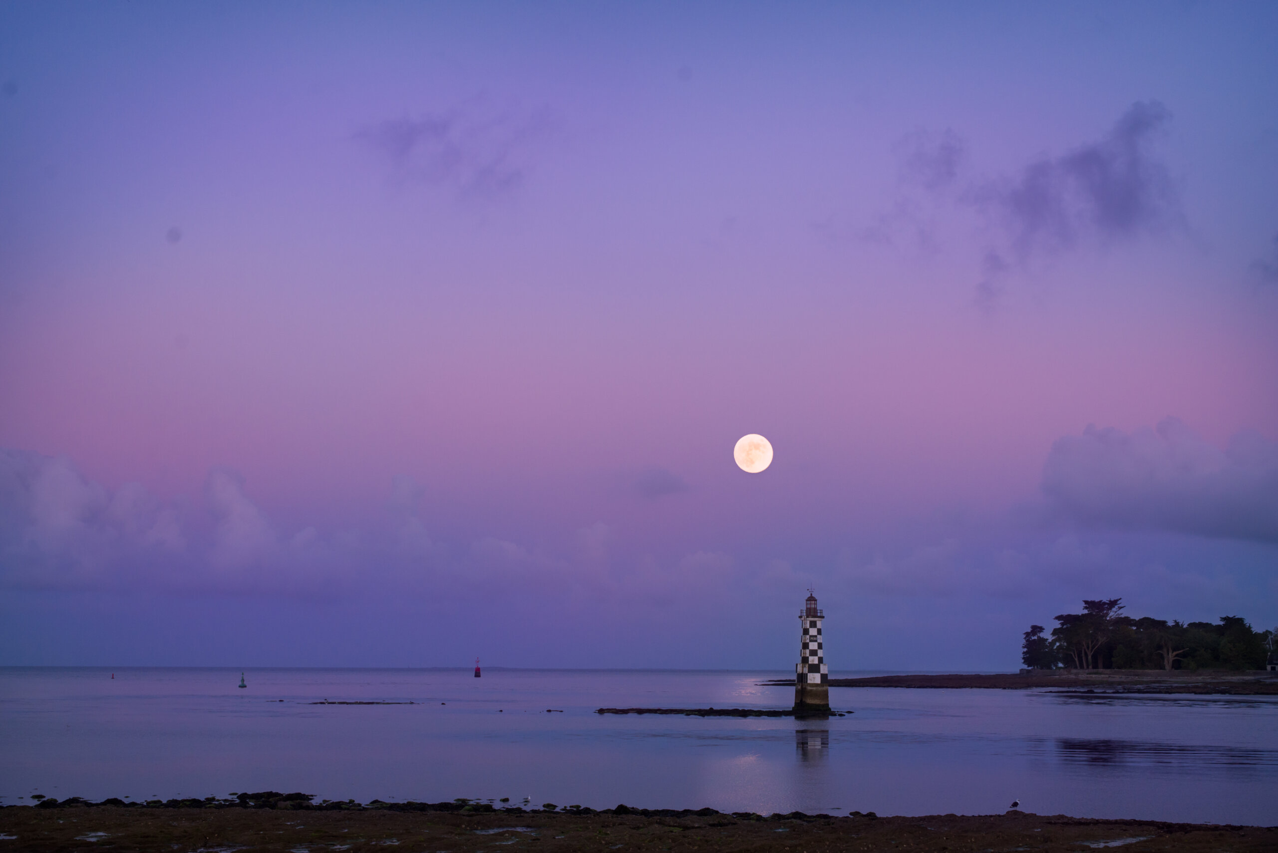 sortie photo nature finistère
