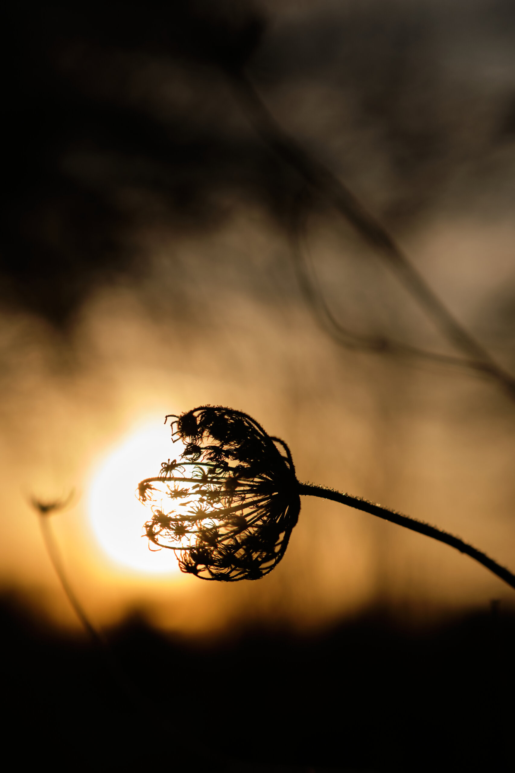 balade photo bretagne