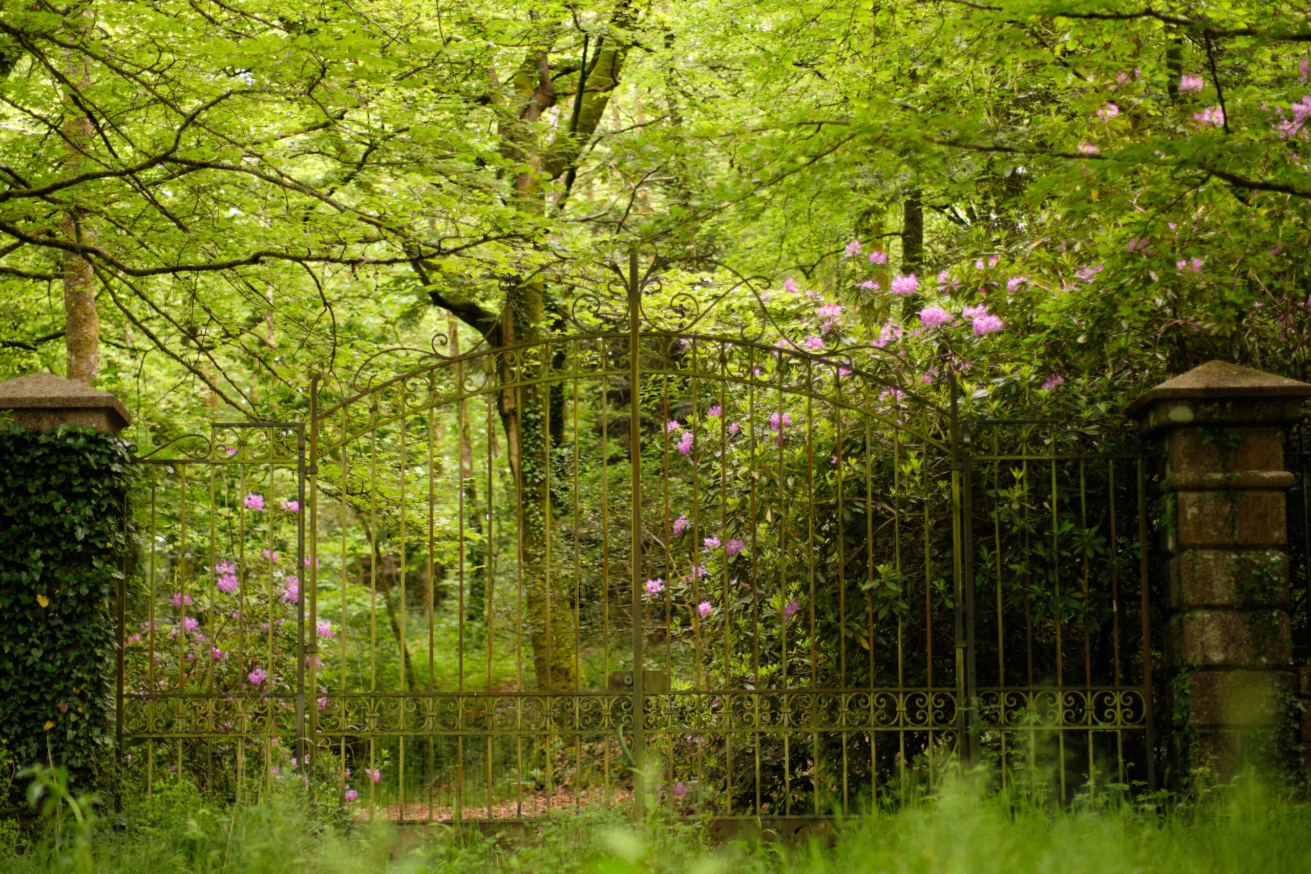 bois du hénan balade photo finistère