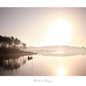tirage photo affiche Bois du Hénan au petit matin