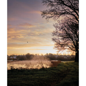 lever de soleil au bord d'un étang - tirage photo affiche