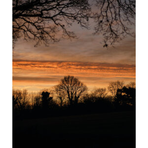 beauté de la nature au lever du soleil affiche photo