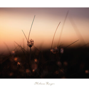 nature abstraite coucher du soleil - affiche photo - tirage