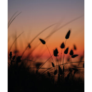 tirage photo soleil couchant